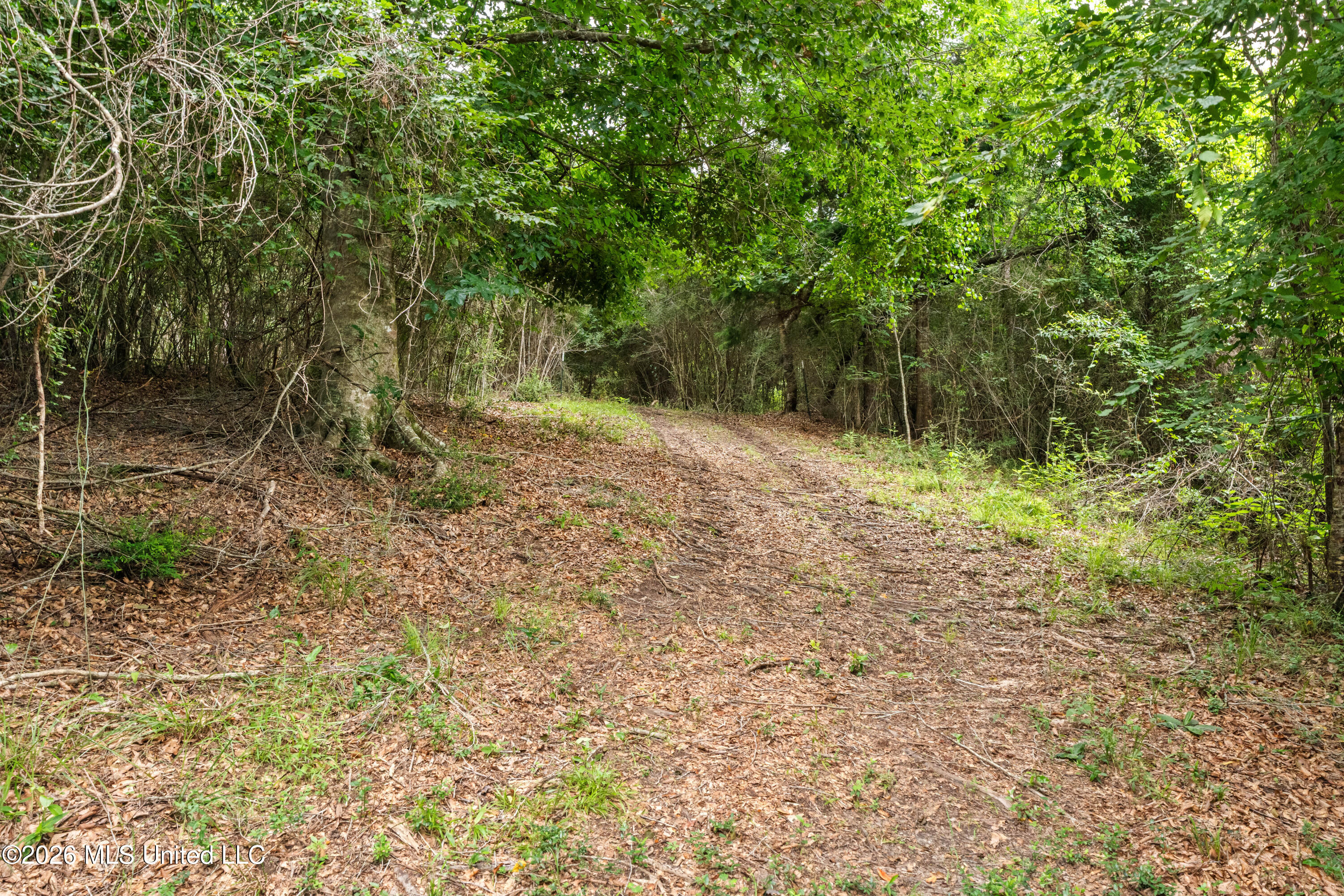 232 Knoxo Columbia Road Tylertown, MS 39667 - Photo 88 of 120 232_Knoxo_Columbia_Rd-87