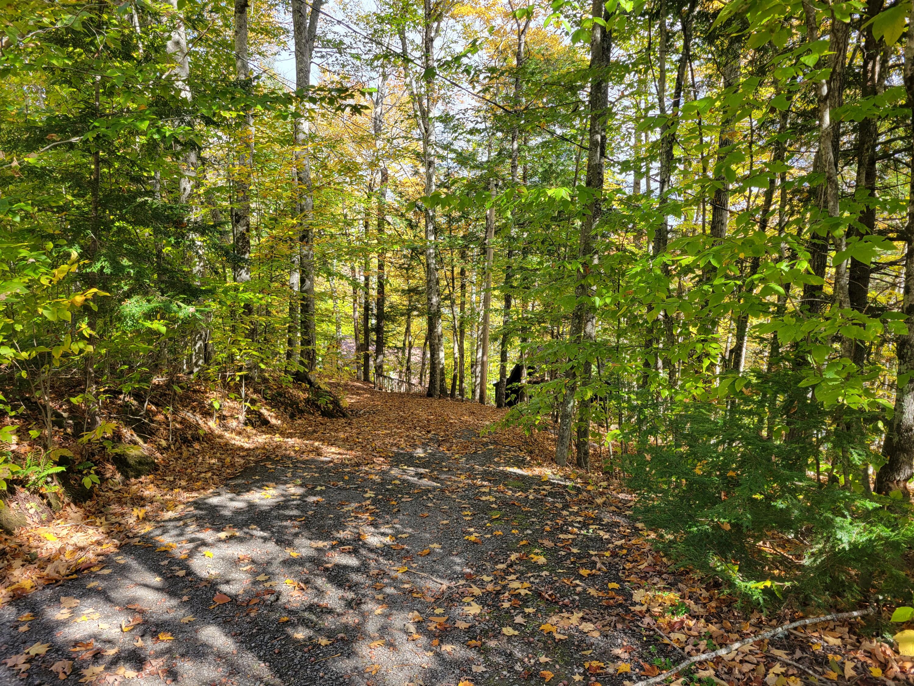 2 South Herrin Woods Road Vienna, ME 04360 - Photo 21 of 21 cogginsdrivewy