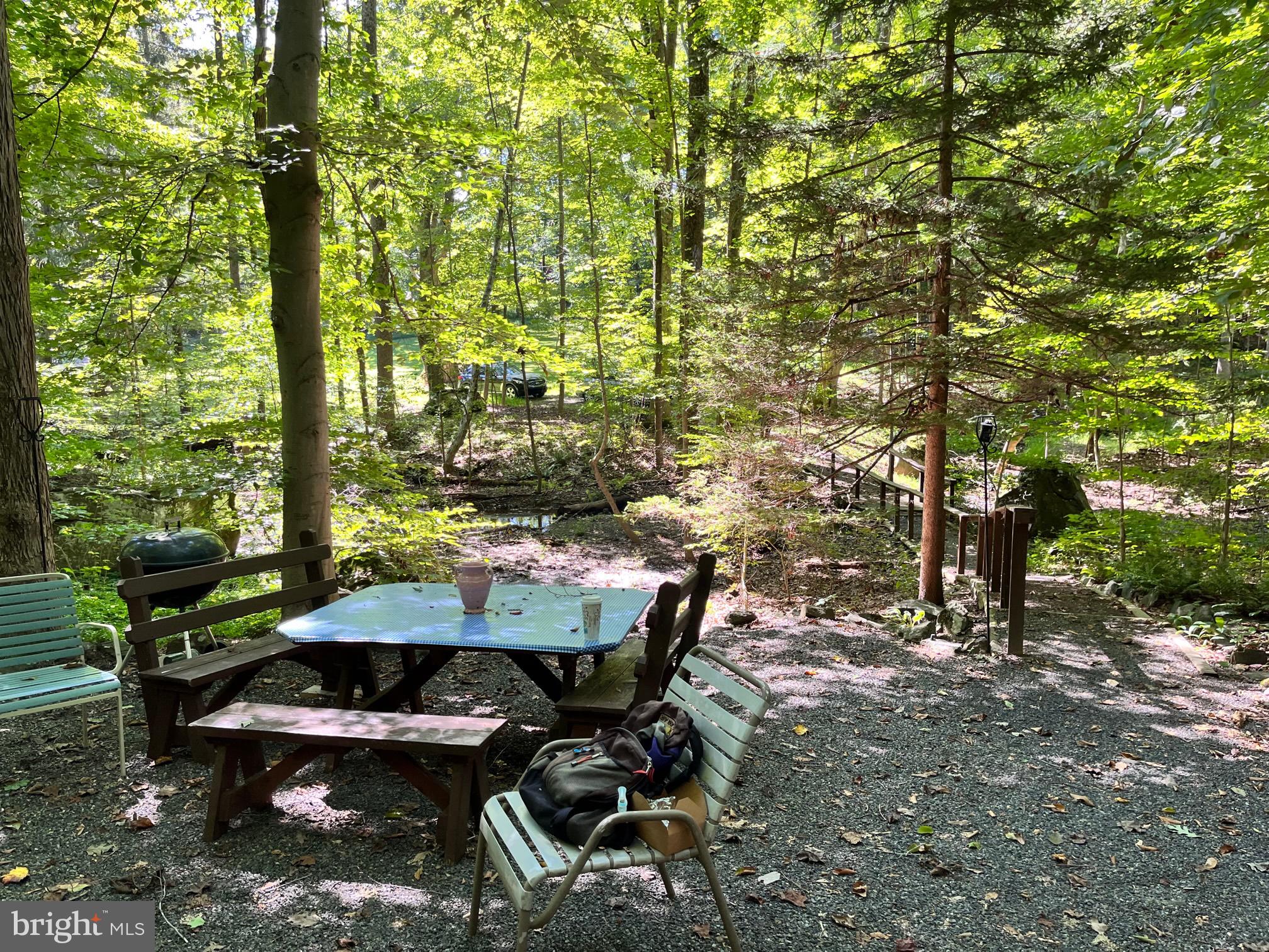 1115 Magazine Road Green Lane, PA 18054 - Photo 3 of 28 Expanded view of picnic area.