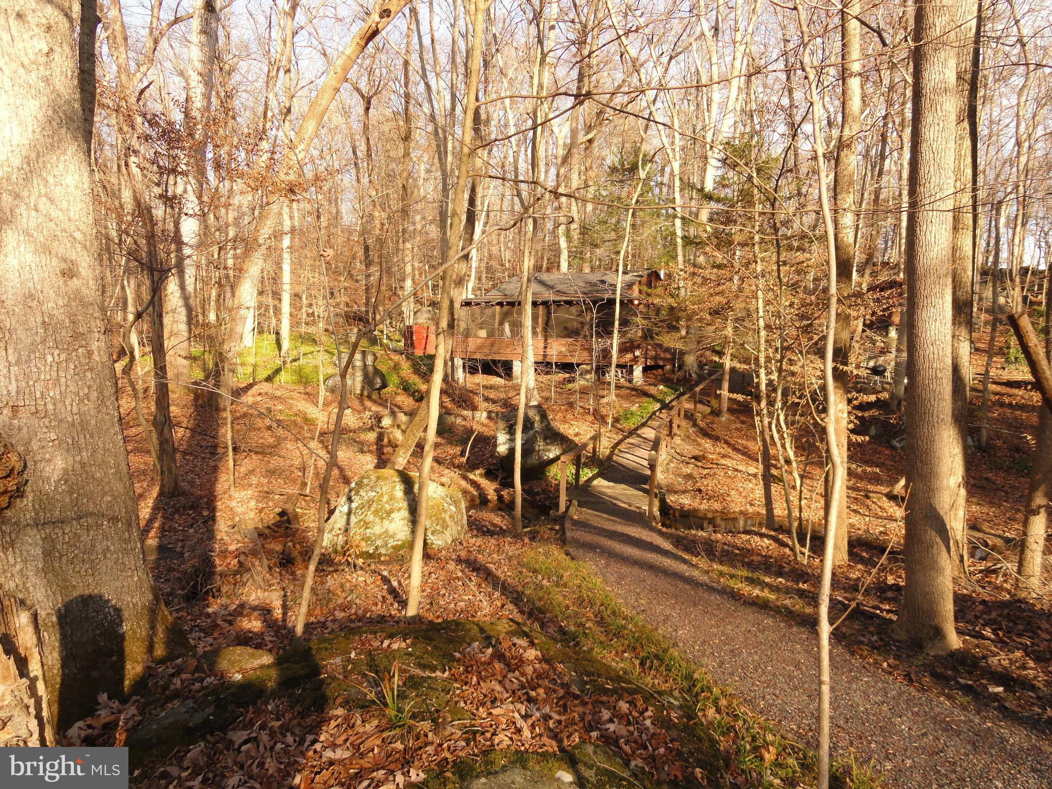 1115 Magazine Road Green Lane, PA 18054 - Photo 7 of 28 Distance view of cabin from end of driveway.