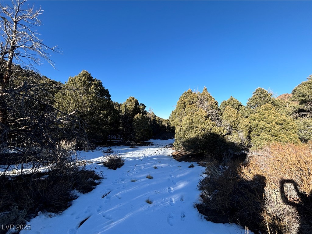 P-17 Butte Valley Ely, NV 89301 - Photo 5 of 6