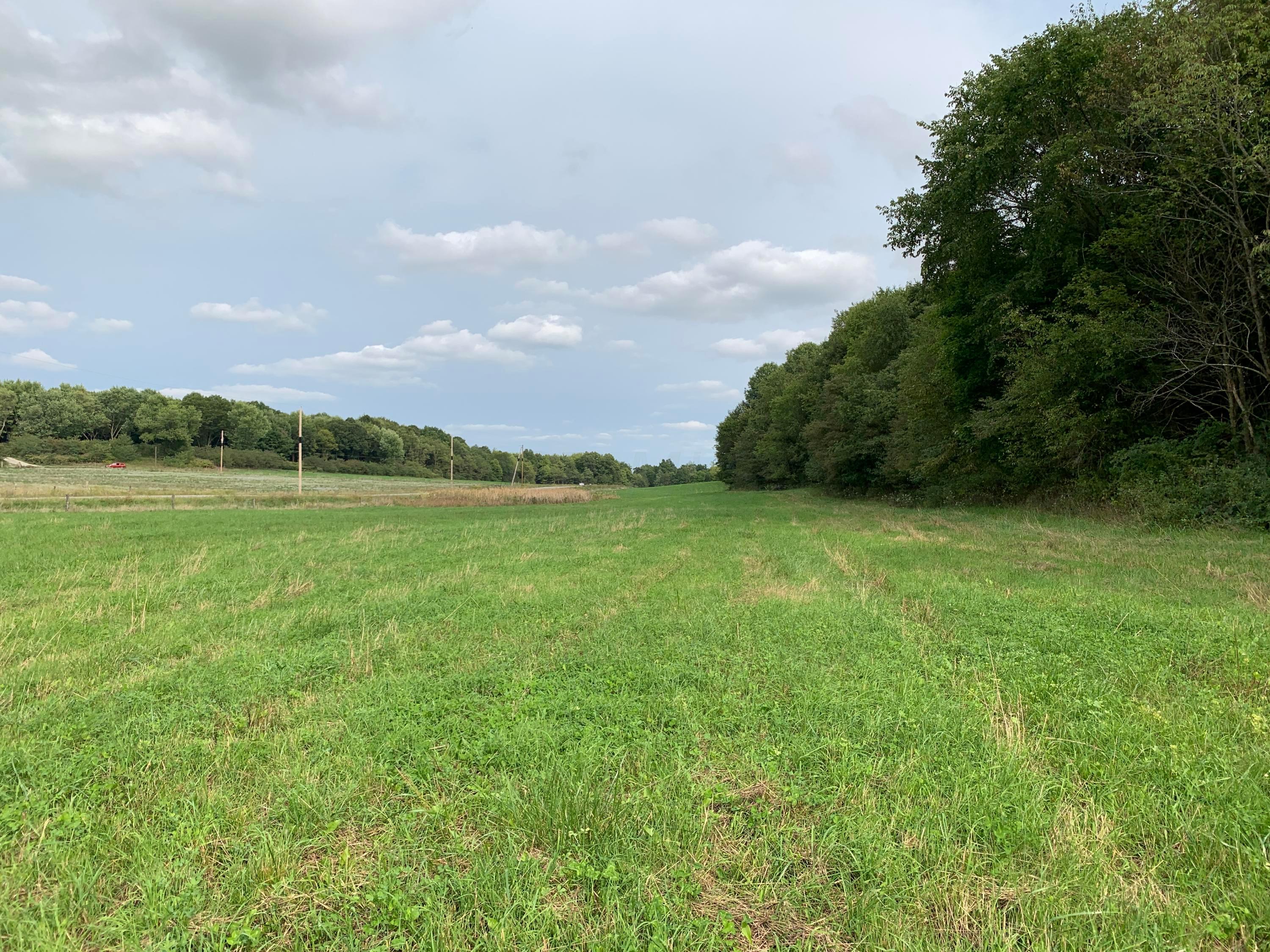 0 Cherry Run Road Northwest Strasburg, OH 44680 - Photo 19 of 35 20200916_193955235_iOS