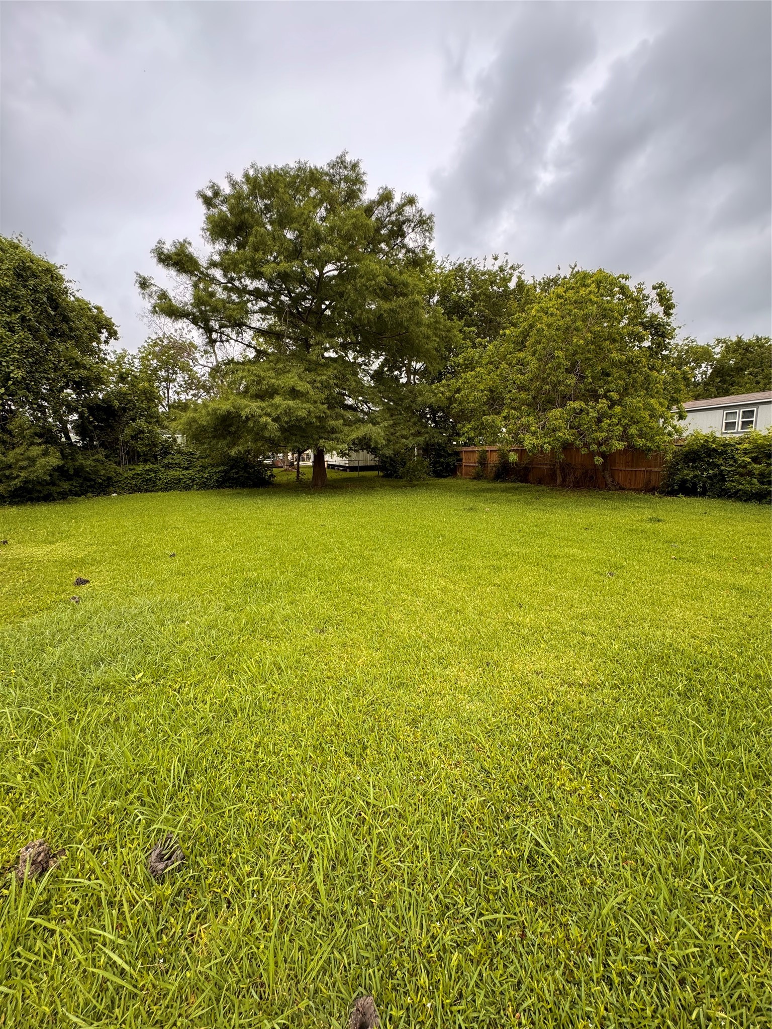 7903 Spivey Road Highlands, TX 77562 - Photo 4 of 4