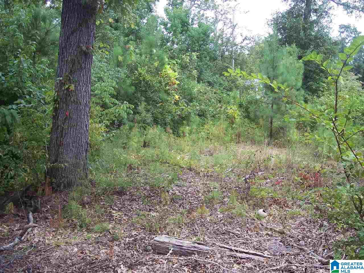 158 Cherry Street, Unit 1 Ohatchee, AL 36271 - Photo 3 of 13