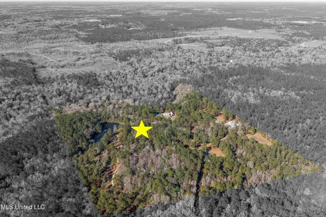 $598,000 | 10130 Road 307, Perkinston, MS 39573