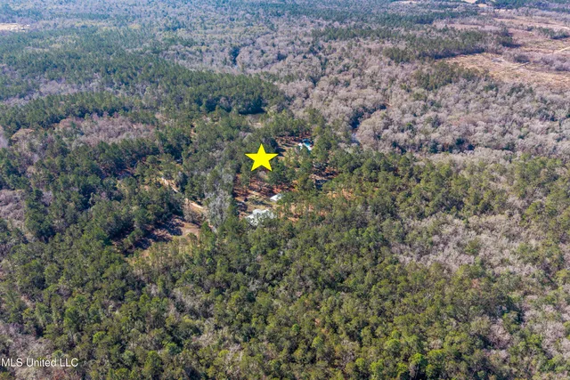 $598,000 | 10130 Road 307, Perkinston, MS 39573