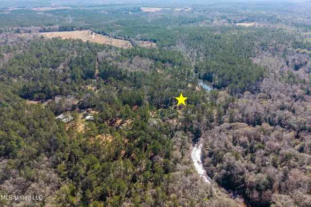 $598,000 | 10130 Road 307, Perkinston, MS 39573