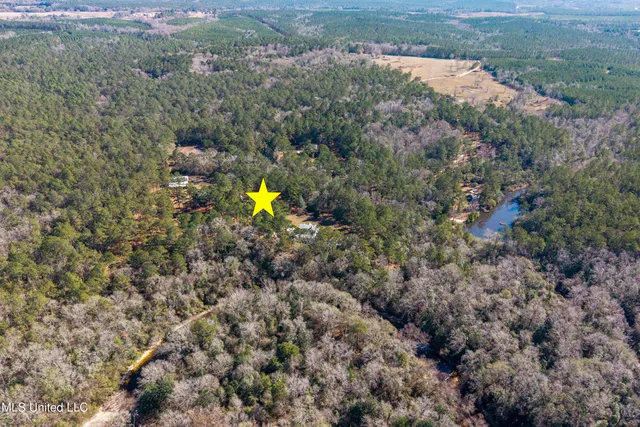 $598,000 | 10130 Road 307, Perkinston, MS 39573