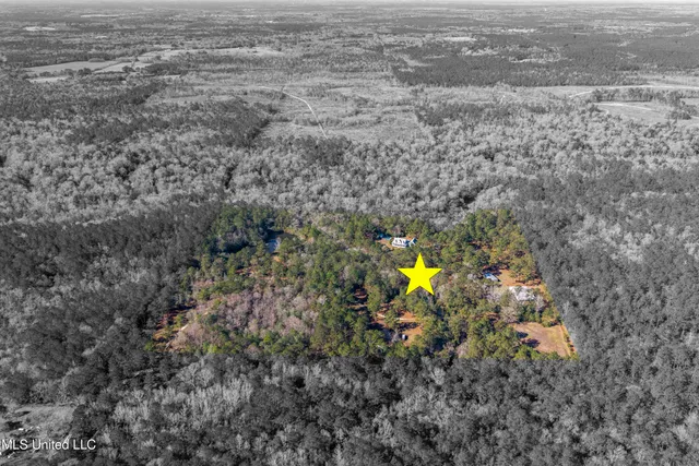 $598,000 | 10130 Road 307, Perkinston, MS 39573