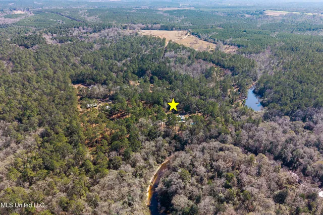 $598,000 | 10130 Road 307, Perkinston, MS 39573