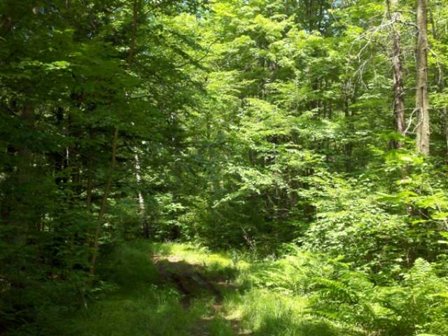 On Strucker Road Ogema, WI 54459 - Photo 6 of 8 Gallery Image 6