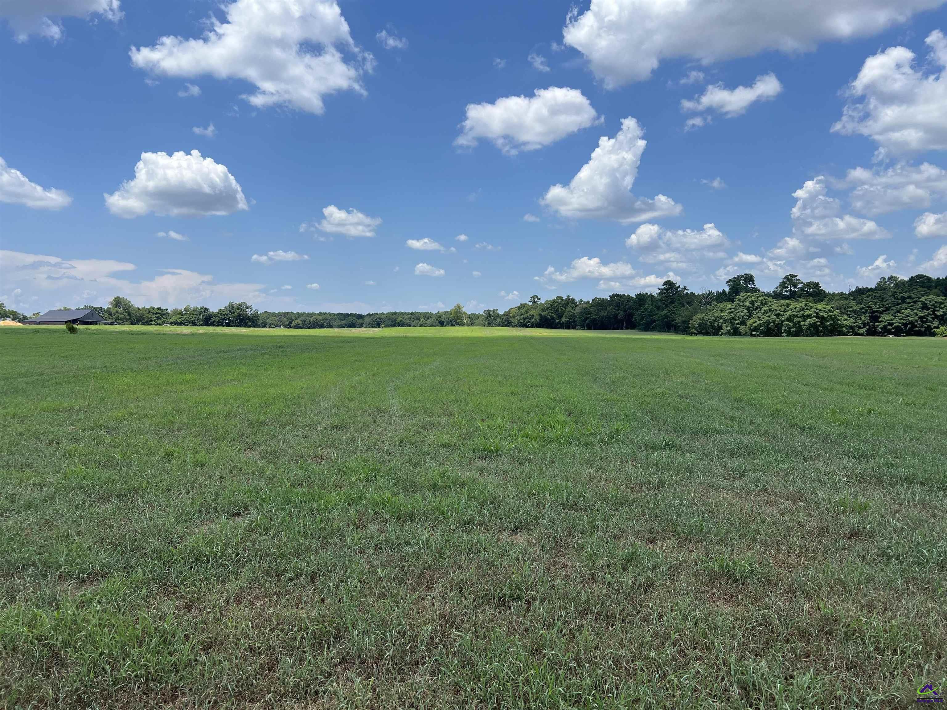 Gilbert Road Elko, GA 31025 - Photo 1 of 7