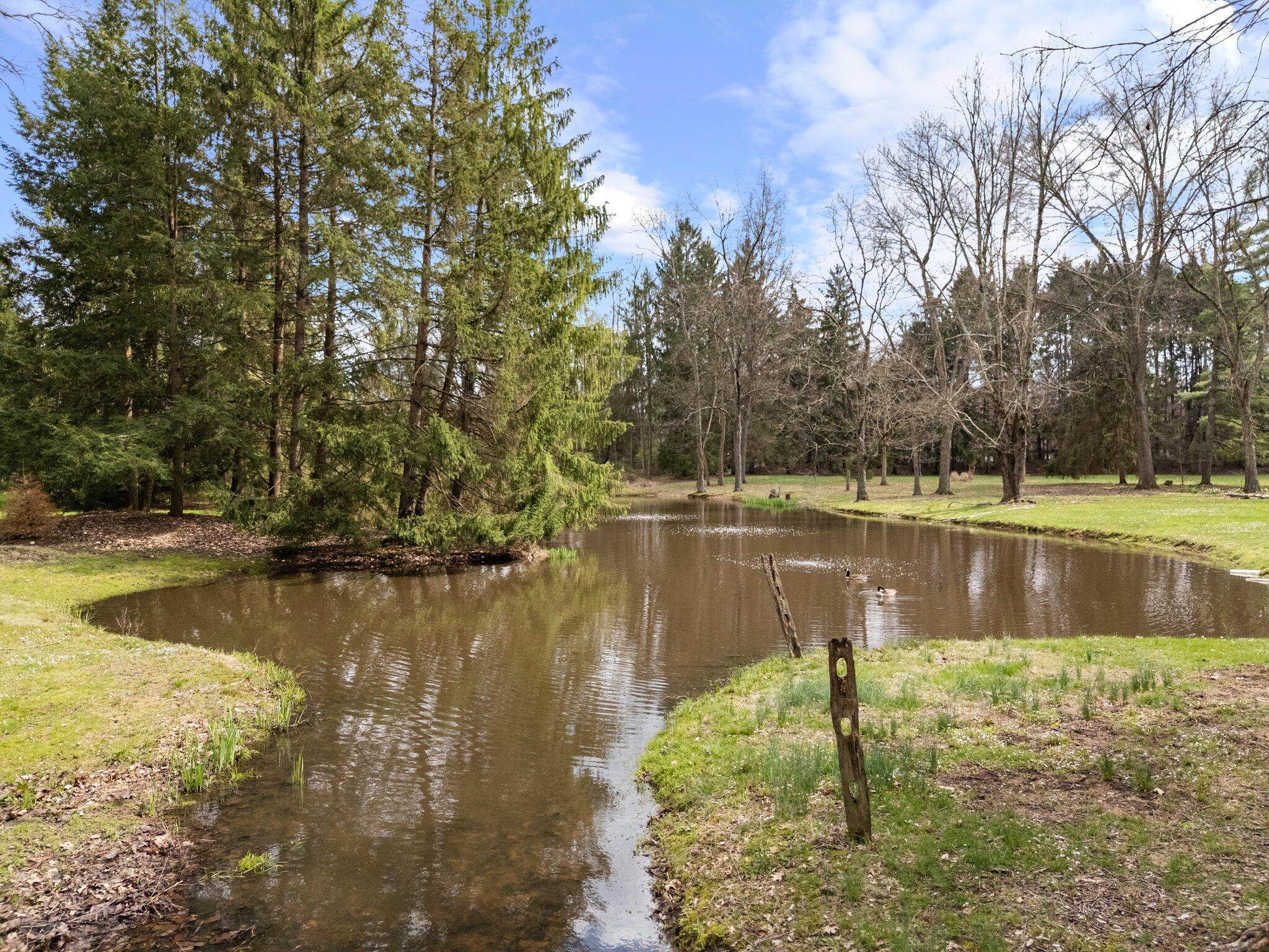 5420 Clark State Road Columbus, OH 43230 - Photo 84 of 104 Pond