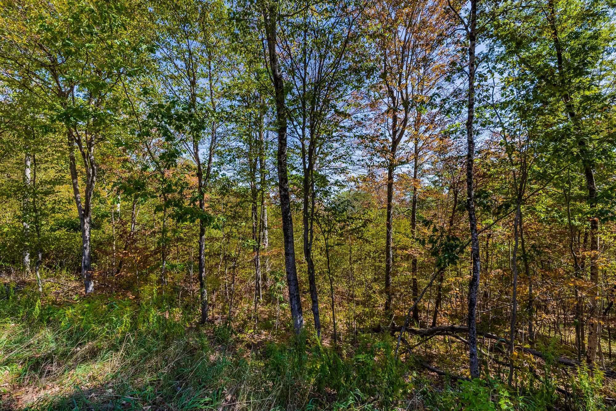 5268 Willard Road, Unit 5268 Quechee, VT 05059 - Photo 3 of 29
