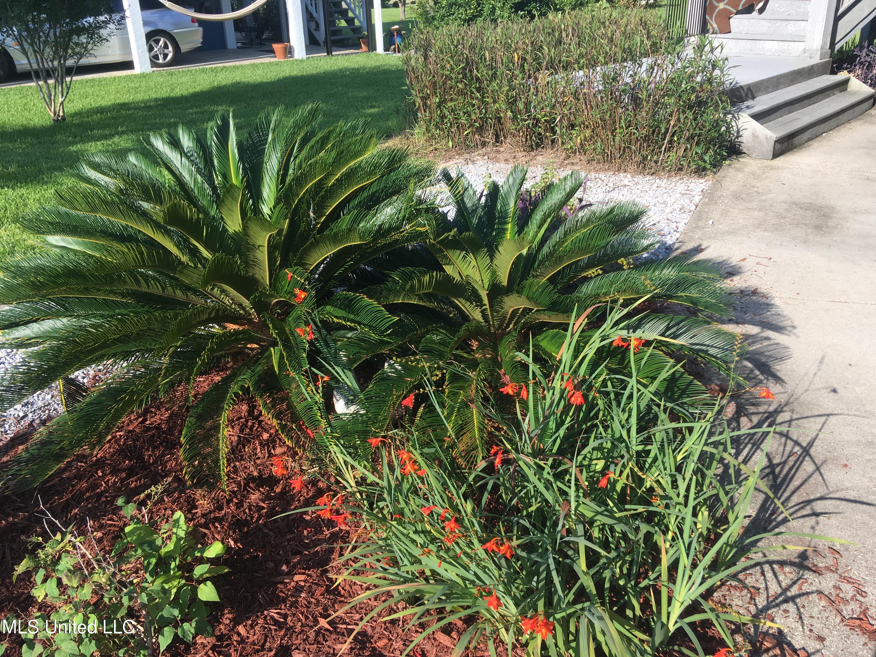 309 Lemoyne Road Pass Christian, MS 39571 - Photo 21 of 32 Landscaping