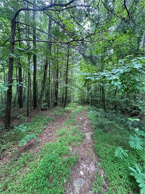 0 Old Post Trail Talking Rock, GA 30175 - Photo 2 of 5 a big yard with lots of green space and deers