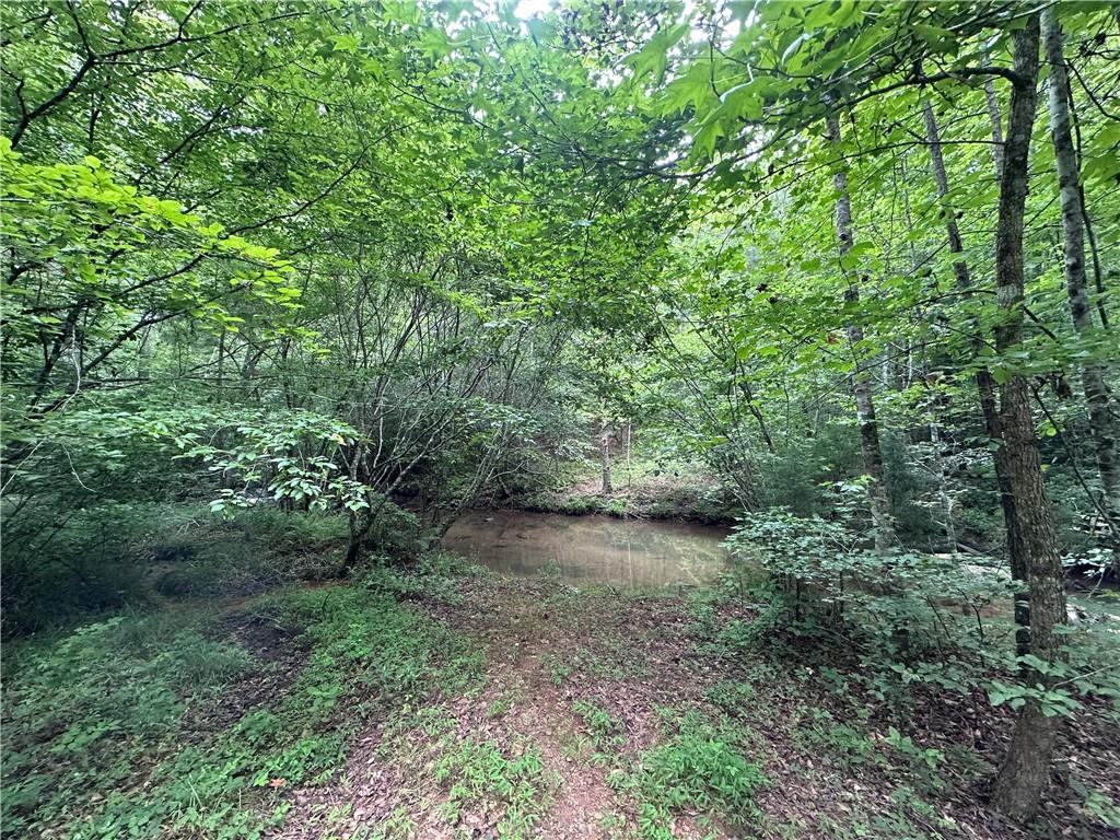 0 Old Post Trail Talking Rock, GA 30175 - Photo 5 of 5 a view of a forest with trees in the background