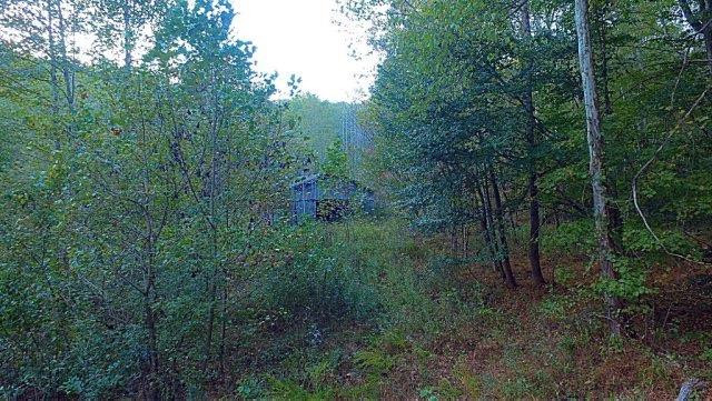 1 Big Run Road Wallingford, KY 41093 - Photo 1 of 15 Photo 1