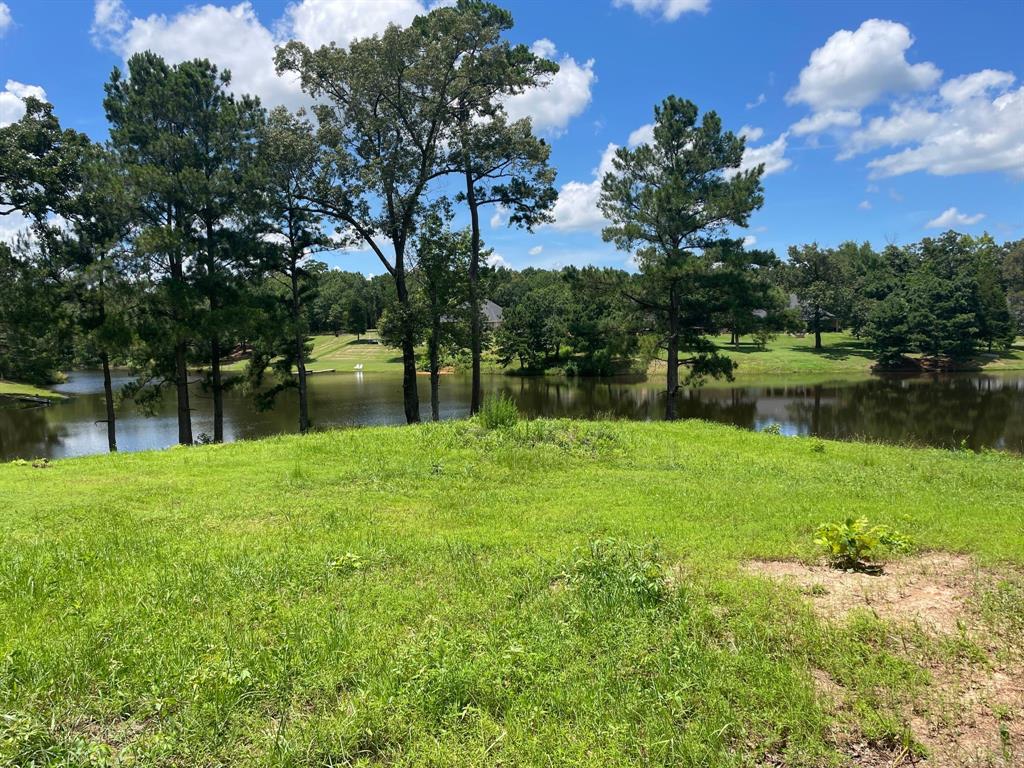 a backyard of a house with lots of green space and lake view