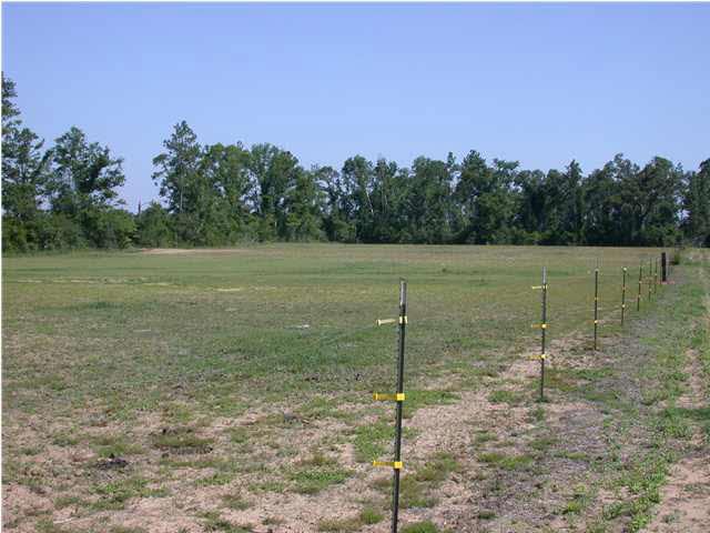 6608 Ellis Road Jay, FL 32565 - Photo 3 of 5 Rear View of Property