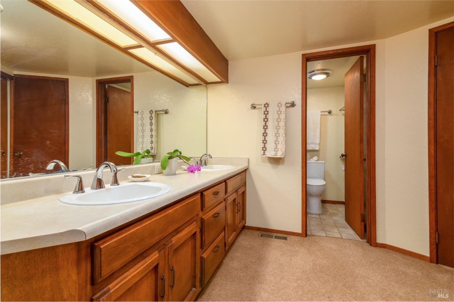 39153 Curlew Reach The Sea Ranch, CA 95497 - Photo 22 of 31 a bathroom with a double vanity sink and a mirror