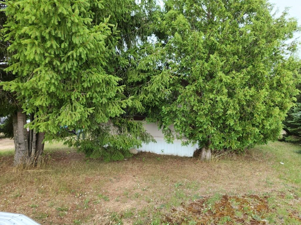 8809 Townview Road Mancelona, MI 49659 - Photo 11 of 22 Gallery Image 11