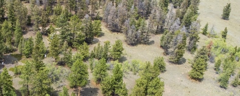 31663 Redhill Road Fairplay, CO 80440 - Photo 5 of 8