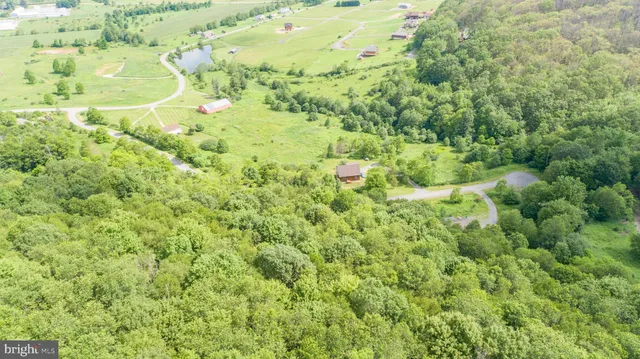 a view of a big yard with large trees