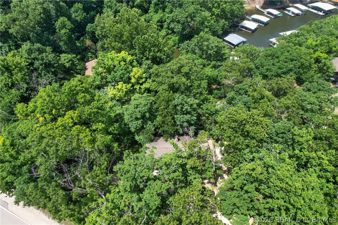 247 Wilmore Road Lake Ozark, MO 65049 - Photo 31 of 33 Lots of trees on property!