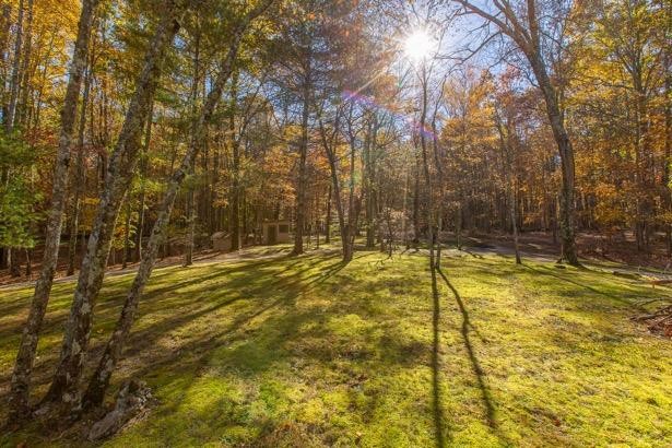 569 Haynes Road Sewanee, TN 37375 - Photo 27 of 30