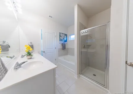 a bathroom with a sink and a shower