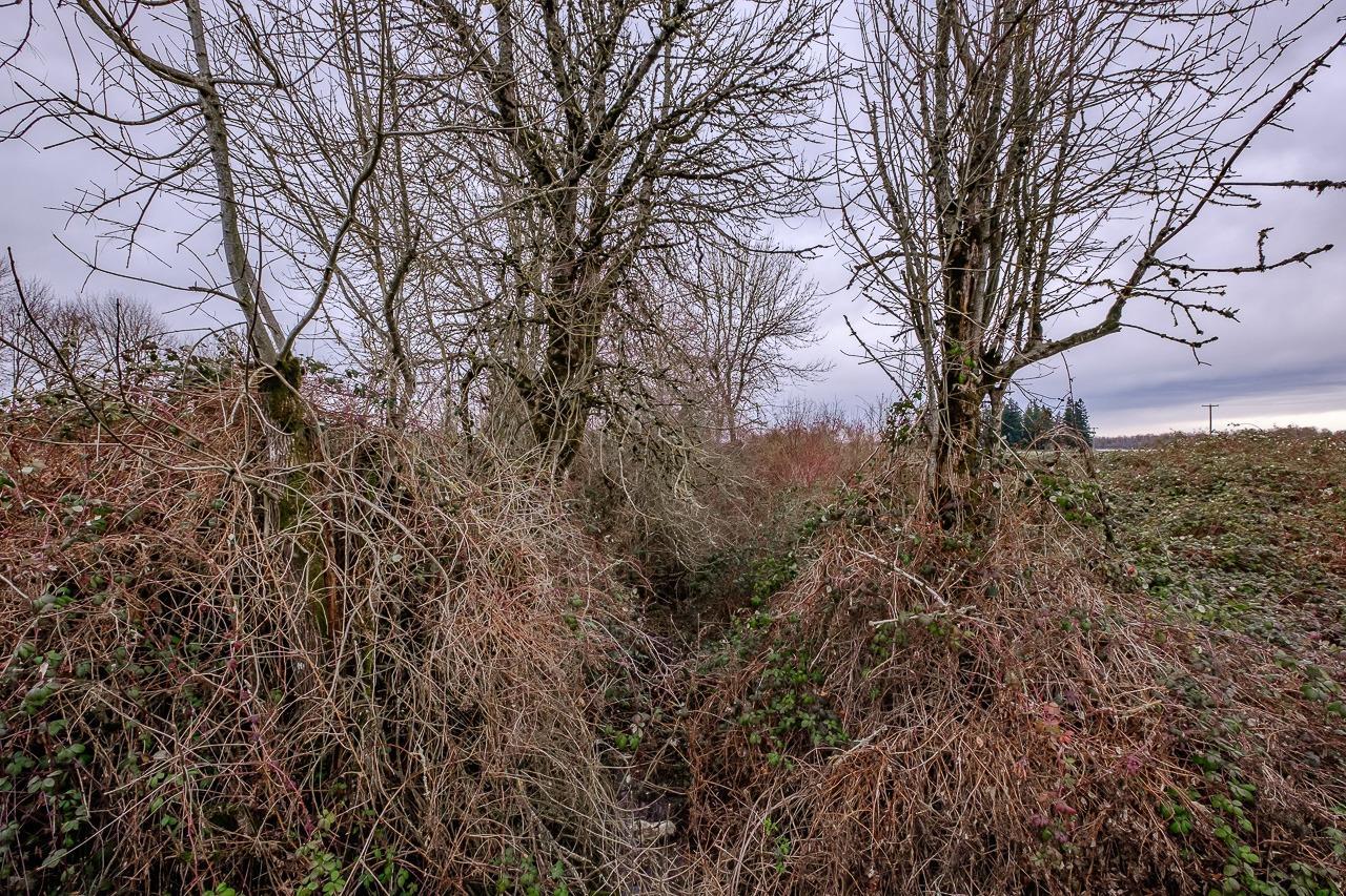 0 Folsom Road Southeast Albany, OR 97322 - Photo 18 of 22 Additional Photo