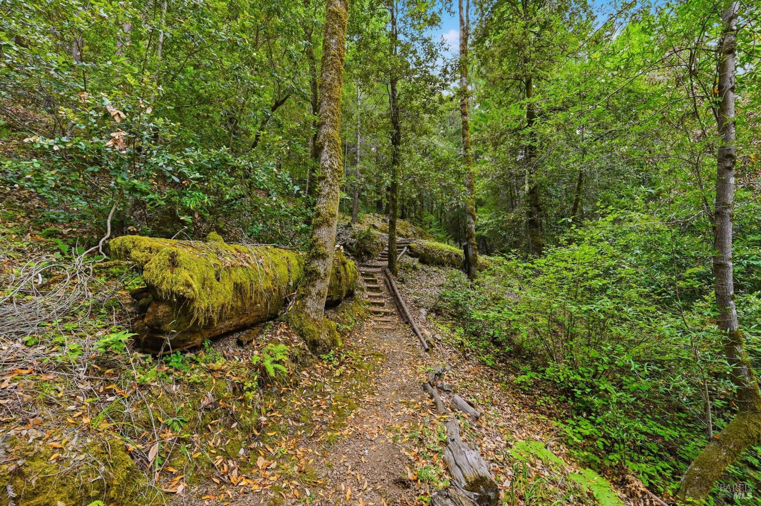19300 Fort Ross Road Cazadero, CA 95421 - Photo 53 of 92 Gallery Image 53