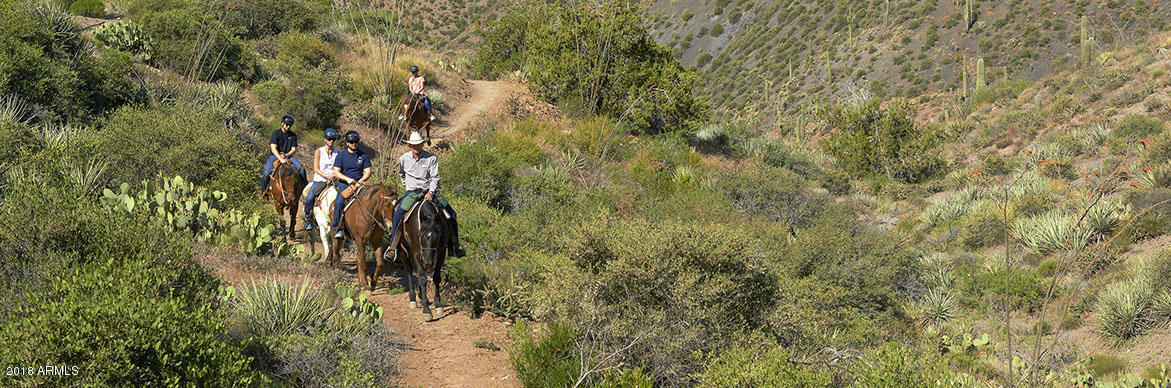 10285 East Joy Ranch Road Scottsdale, AZ 85262 - Photo 85 of 87 035_Horseback Riding