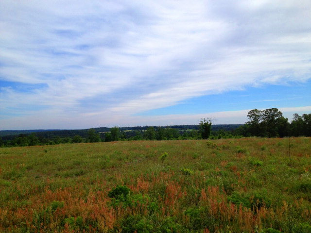 Tract B Township Road Aiken, SC 29803 - Photo 19 of 19