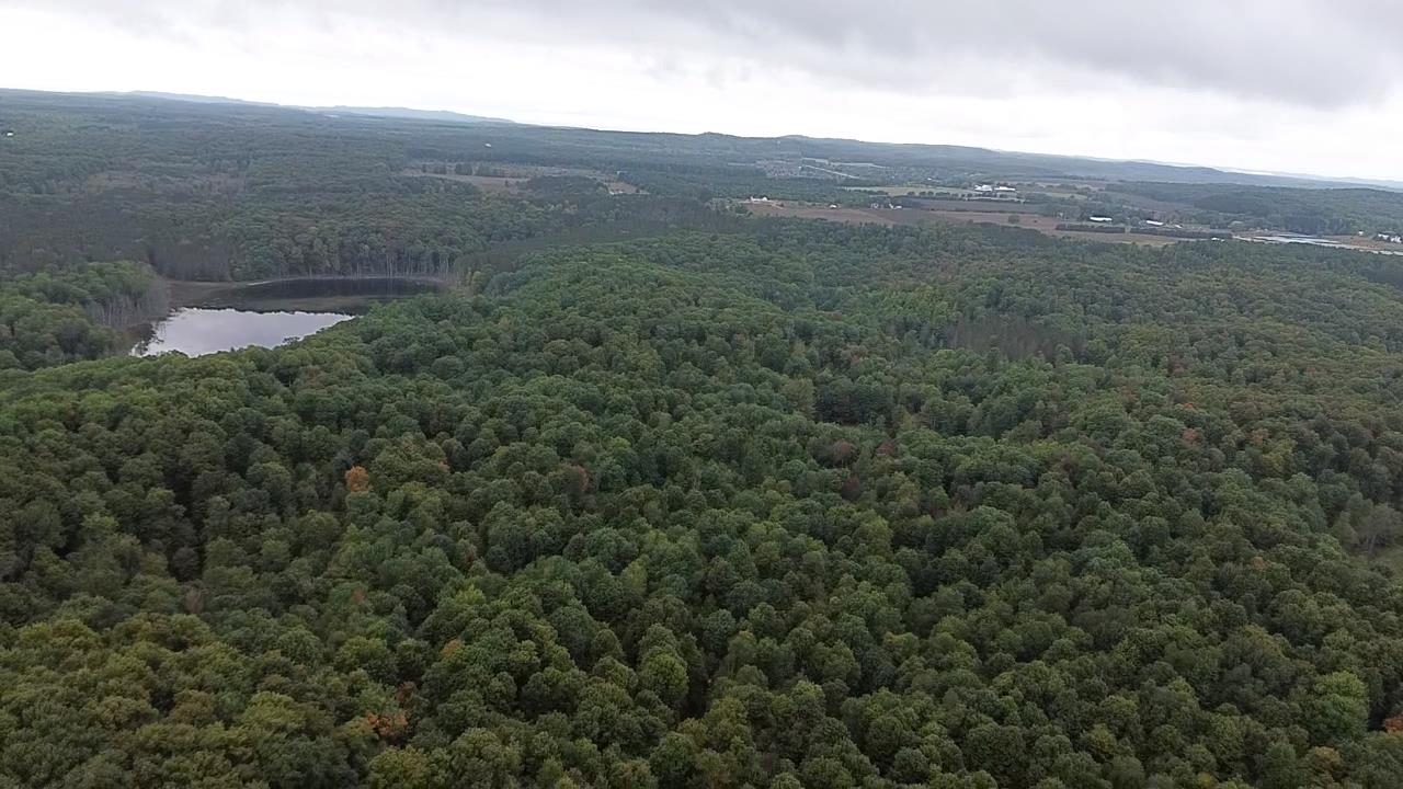 0 South Fritz Road Empire, MI 49630 - Photo 21 of 28