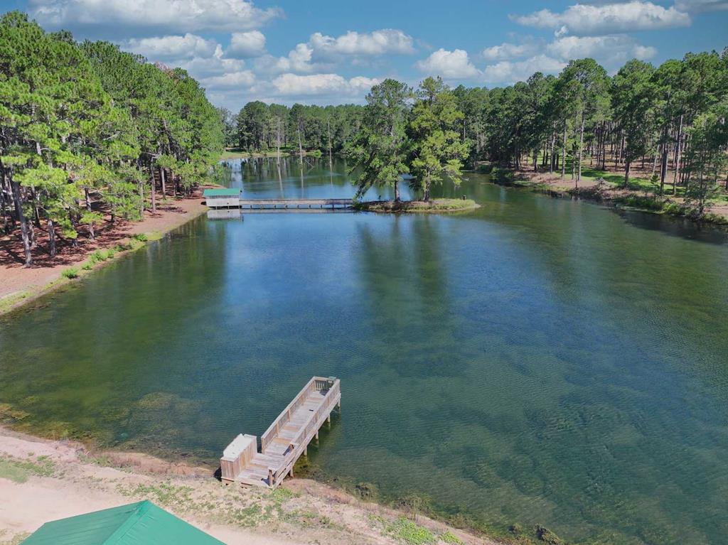 1197 Vonier Road Pavo, GA 31778 - Photo 92 of 107 Gallery Image 92