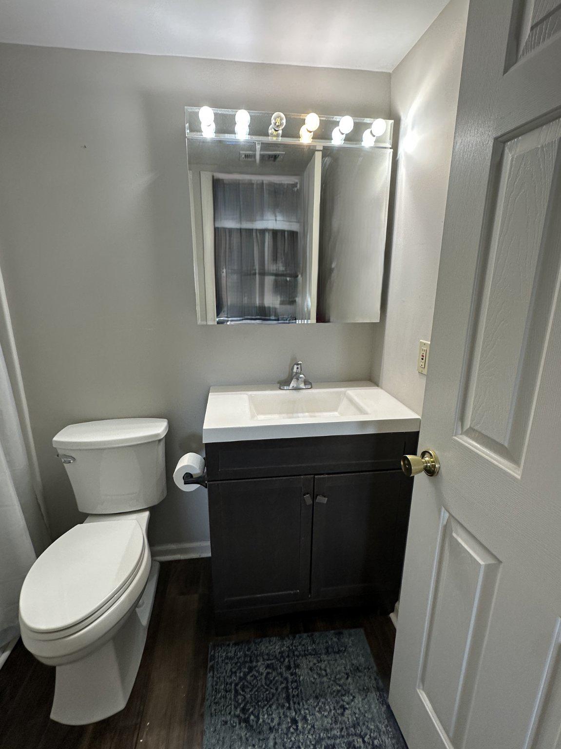 613 Brandon Road Norristown, PA 19403 - Photo 13 of 14 Hall bathroom