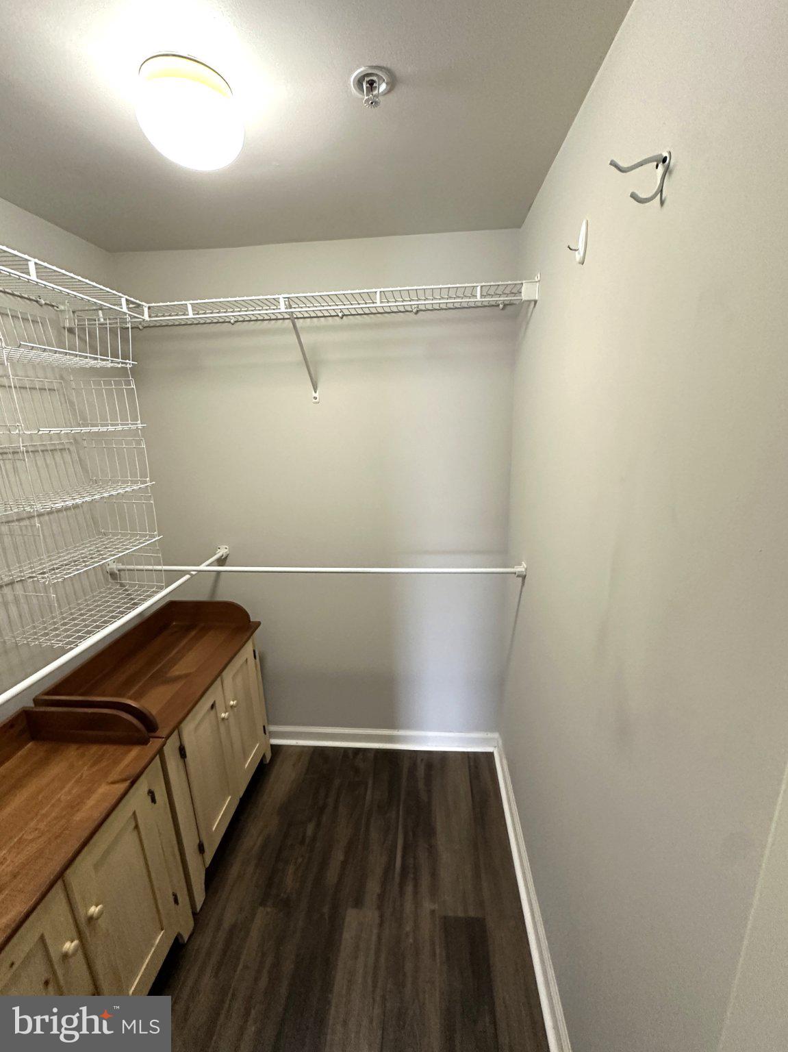 613 Brandon Road Norristown, PA 19403 - Photo 19 of 22 a view of walk in closet with clothes and shoes
