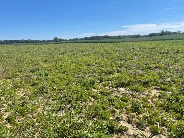 $146,900 | 1 West Cr 990 North Tract G, Elizabethtown, IN 47232