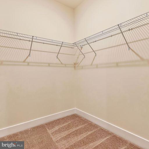 16315 Manning Road West Accokeek, MD 20607 - Photo 46 of 66 Walk-in Closet