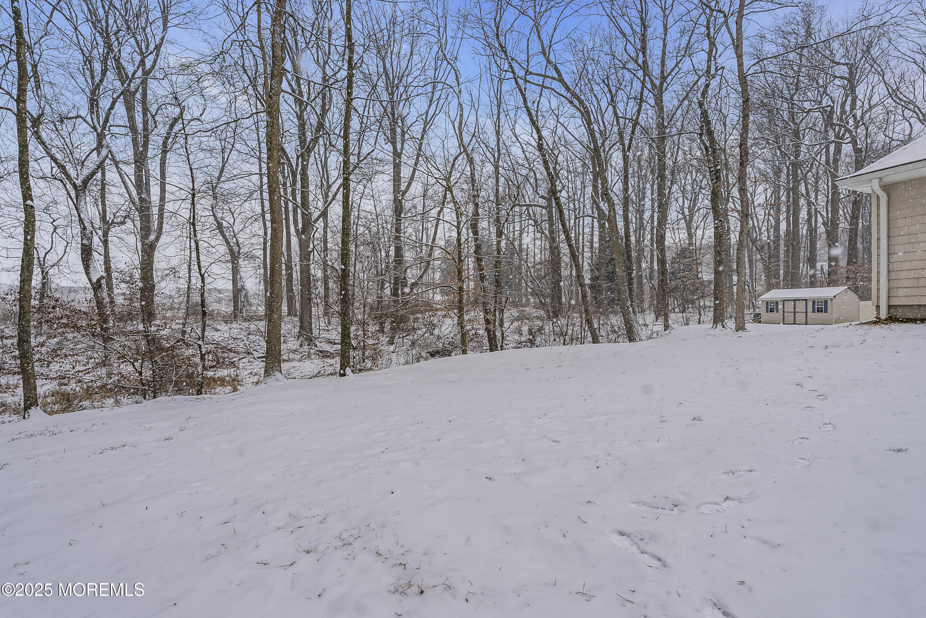 94 White Oak Ridge Road Lincroft, NJ 07738 - Photo 53 of 55 Private Backyard
