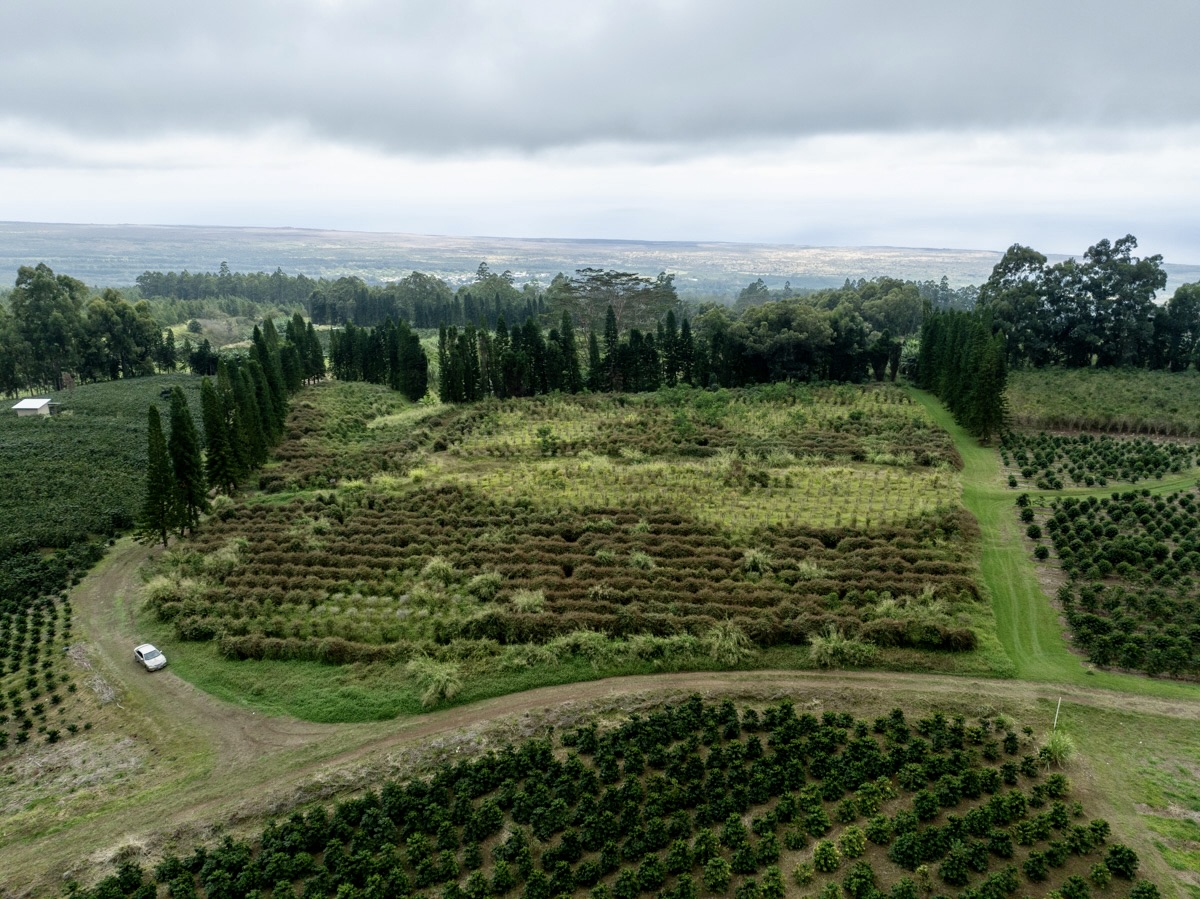 a view of a garden with an outdoor space