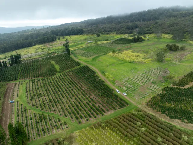 a view of a golf course with a yard