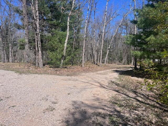 1990 Skocelas Road South Manistee, MI 49660 - Photo 46 of 54 IMG_9601