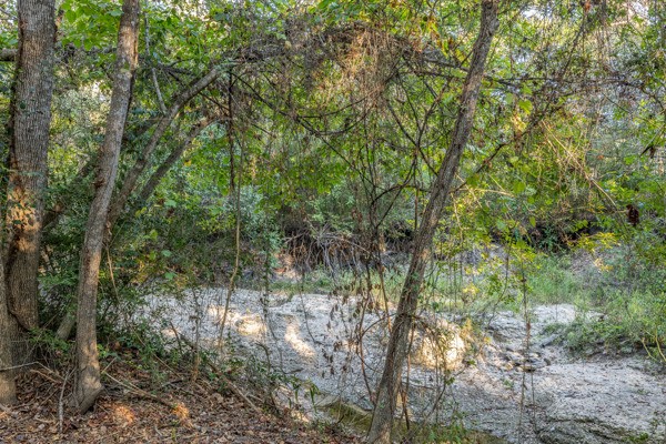 Lane-lot 14 Round Top, TX 78954 - Photo 6 of 9