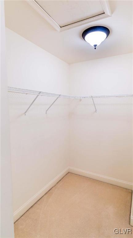 2811 Broadway Road Easton, PA 18040 - Photo 19 of 34 Gallery Image 19