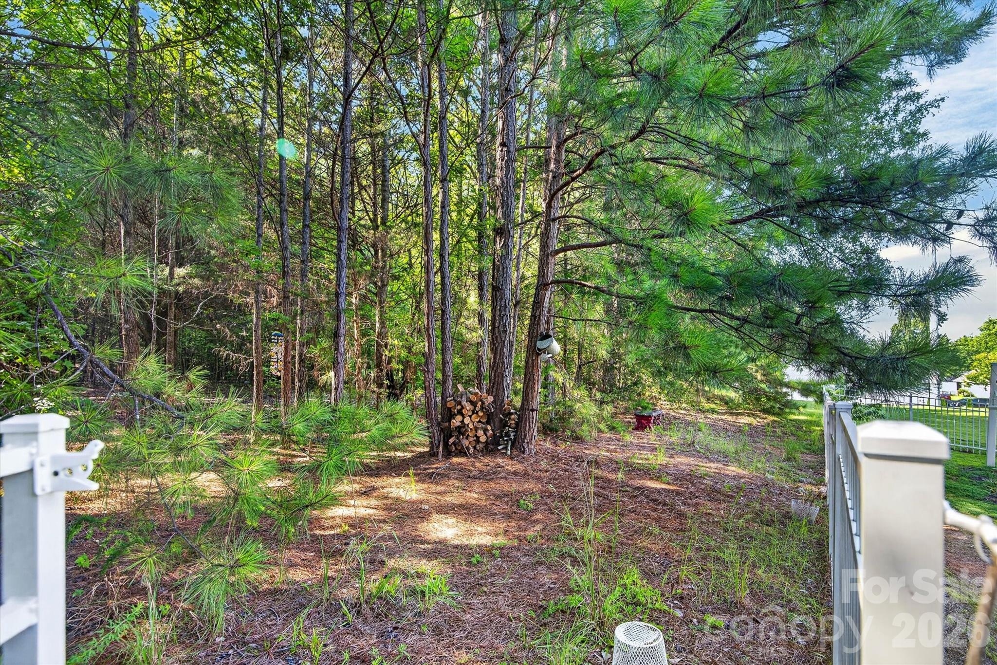 245 Eagle Creek Road Clover, SC 29710 - Photo 10 of 34 Gallery Image 10