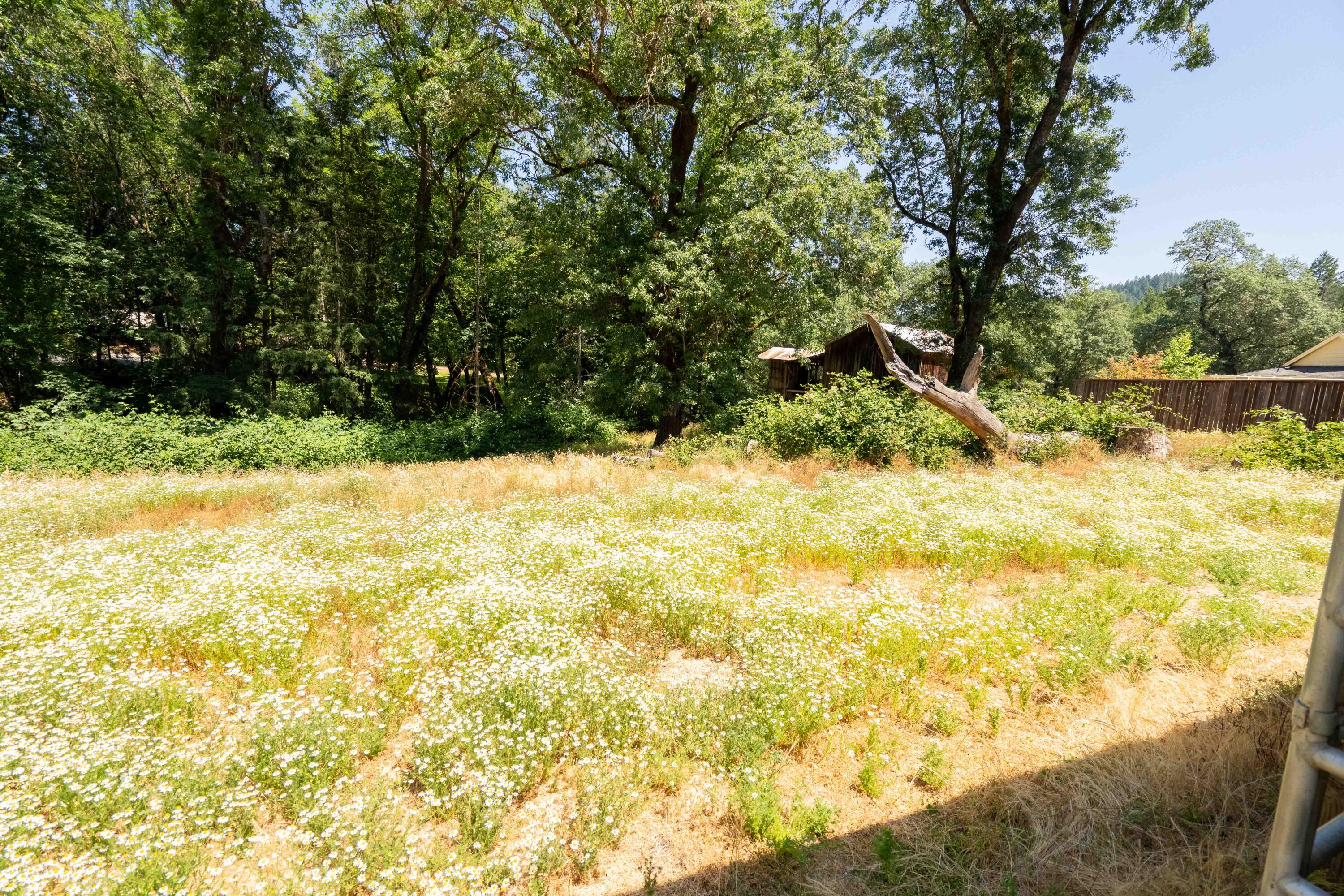 244 Griffin Road Grants Pass, OR 97527 - Photo 83 of 96 DSC07533-HDR