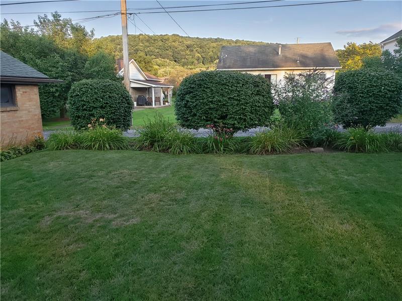 1808 River Road North Apollo, PA 15673 - Photo 5 of 23 Back yard